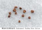 釋迦牟尼有多少顆舍利子分布在哪里 釋迦牟尼有多少顆舍利子分布在哪里