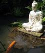 關(guān)于佛門放生的思考 關(guān)于佛門放生的思考