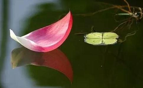 ʲôX֧