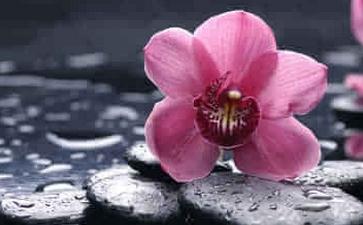 ӏVY(ji)ƾ