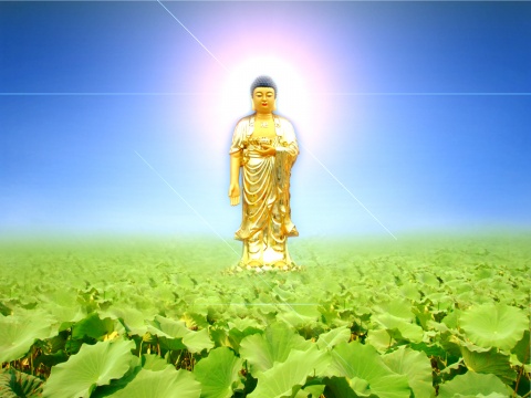 ӷ𡱵ġ(yng)ԓ_кκx