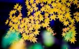 人生哲言佛語經(jīng)典語錄 人生哲言佛語經(jīng)典語錄