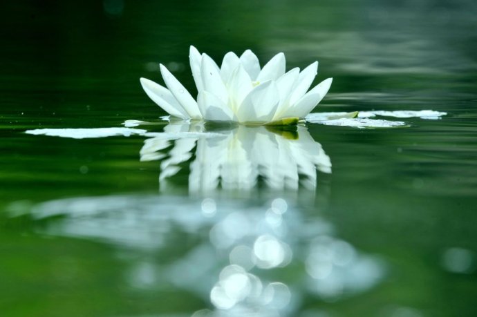 生活處處皆是禪