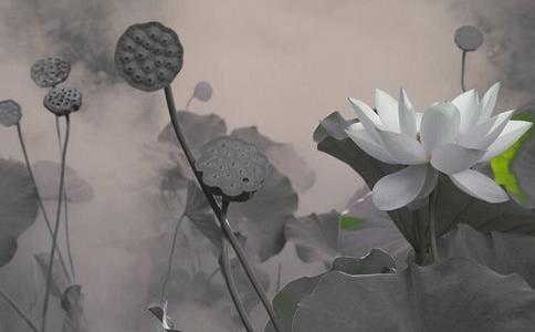 ˻Ҫ֪ж