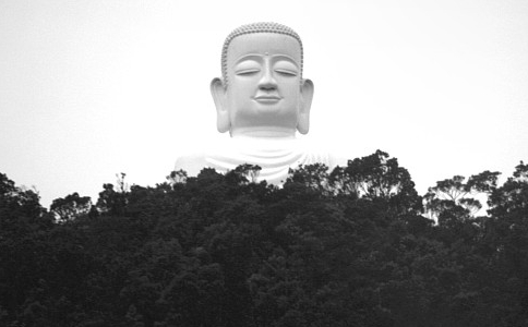 ֻ挦Լĉ(x)ܫ@ÿ옷