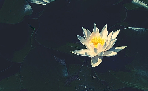 ȺһԒܽ̌(do)ˡؑѸж