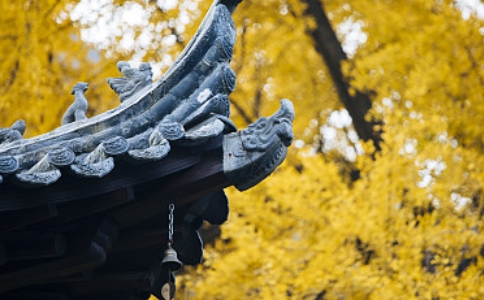 修行人在一切對境當中要學會忍受