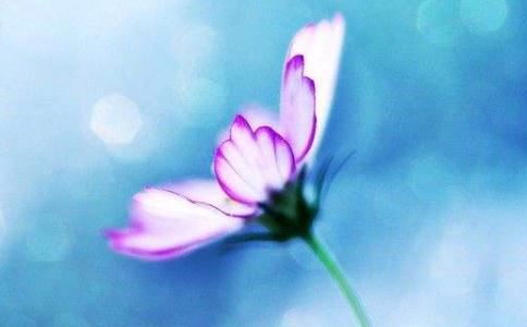 ˿gһӵĆ