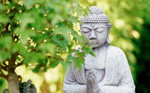 傳正法師：道法自然