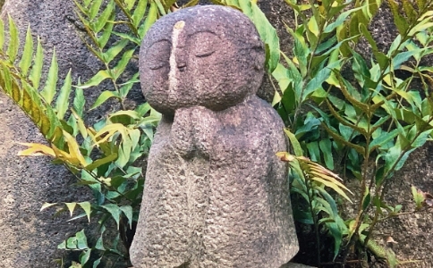 𡢷ɮÿ(g)˵ă(ni)