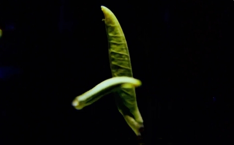 ʲôVB