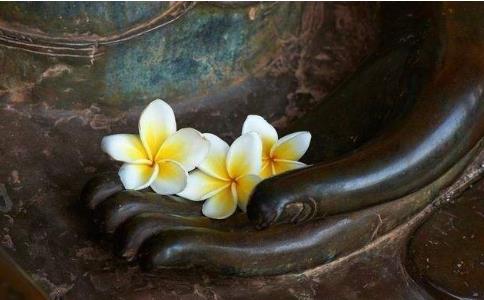 Aƽ(yng)Ϣ(zhng)汊l(f)Ĺ