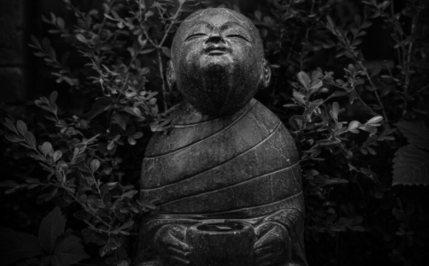 Xʲô(hu)в_ʾF(xin)