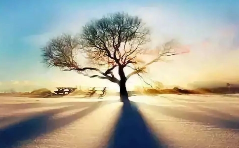 \˳족ʲô˼