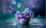 挦NN]ǱȻ