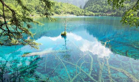 佛理禪機(jī):別人對待你的方式都是你所教的