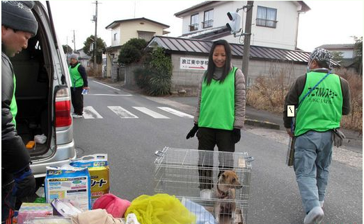 日本保護(hù)組織對(duì)寵物進(jìn)入核輻射拯救動(dòng)物